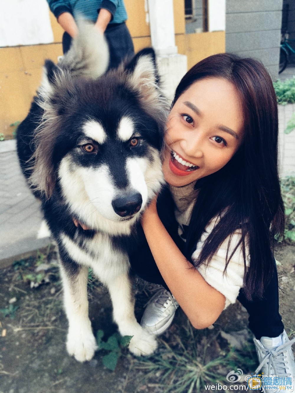 外科风云杨羽扮演者蓝盈莹海量写真生活照