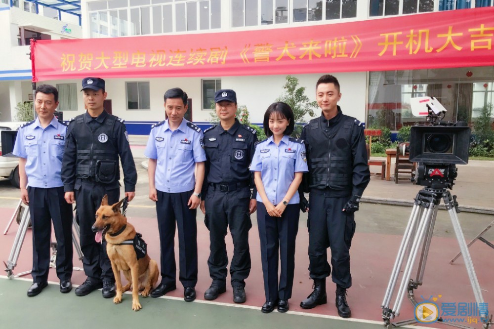 警犬来啦开机发布会