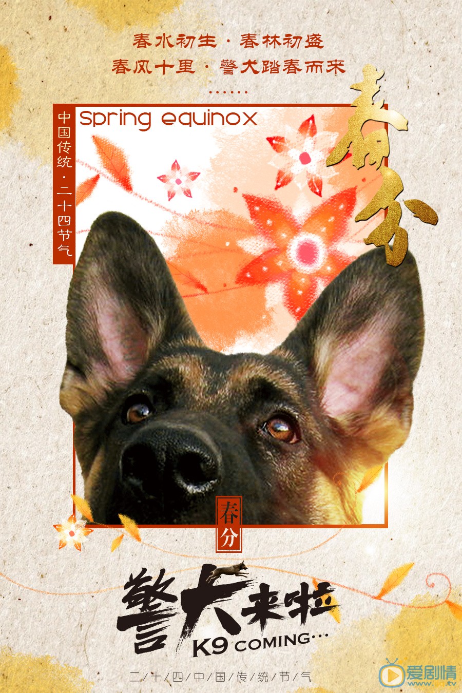 警犬来啦海报