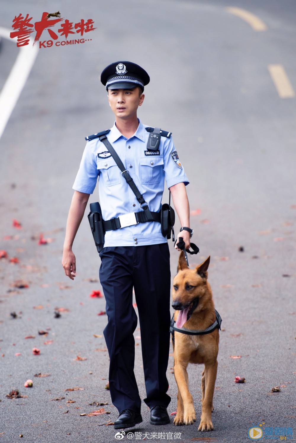 警犬来啦剧情介绍(1-46集大结局)