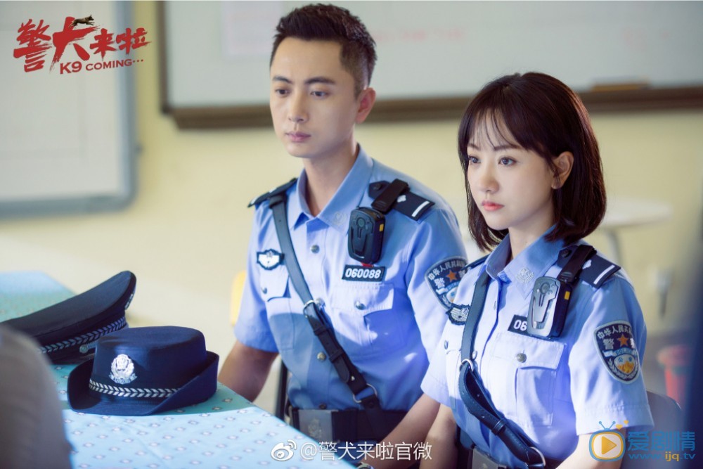警犬来啦剧情介绍(1-46集大结局)