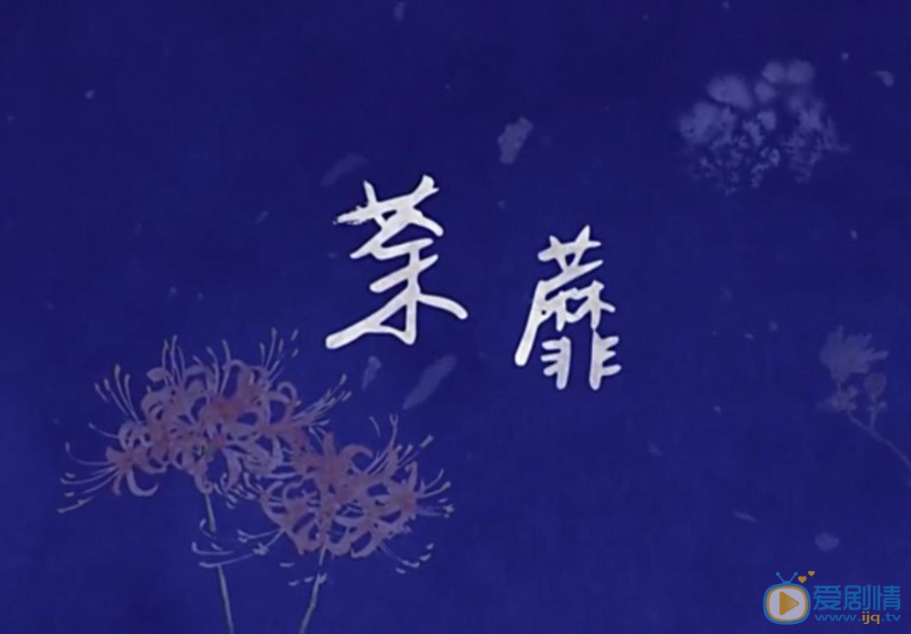 彼岸花海报