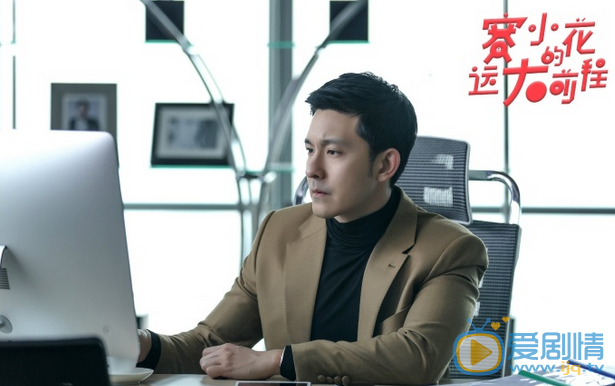 赛小花的远大前程剧情介绍(1-0集大结局)