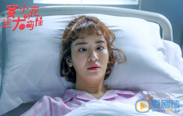 赛小花的远大前程剧情介绍(1-0集大结局)