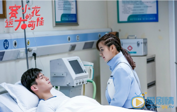 赛小花的远大前程剧情介绍(1-0集大结局)