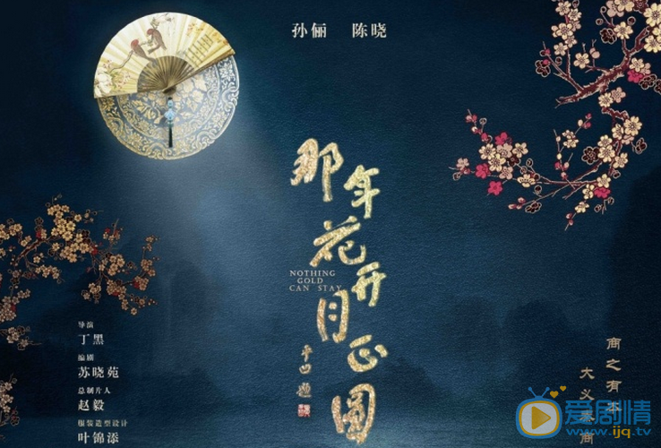 那年花开月正圆海报