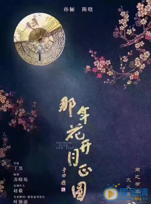 那年花开月正圆海报