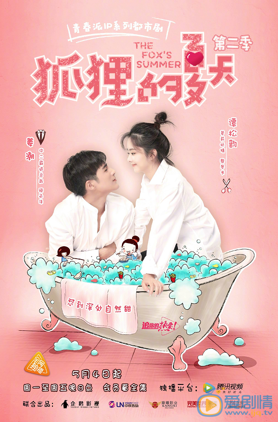 狐狸的夏天第二季海报