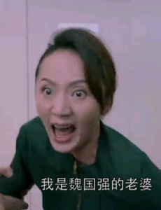 欢乐颂2魏国强老婆是谁演的？魏国强老婆扮演者陆玲个人资料简介