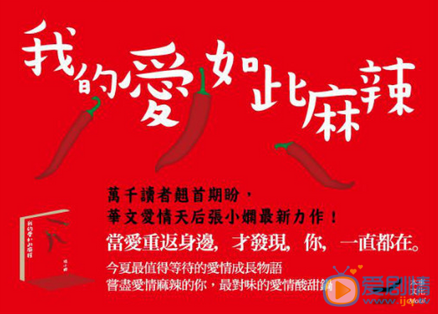 我的爱如此麻辣剧情介绍(1-45集大结局)