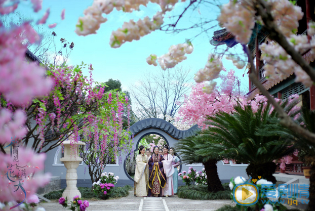 花谢花飞花满天剧照