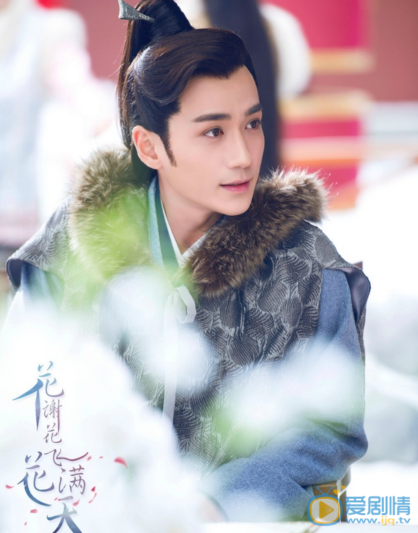 花谢花飞花满天剧照