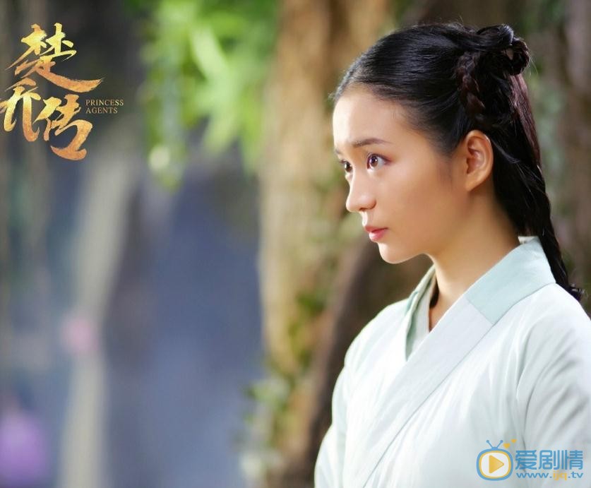 楚乔传剧情介绍(1-67集大结局)