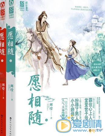 愿相随海报