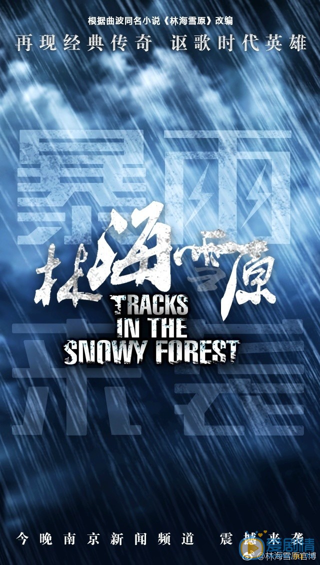 林海雪原海报