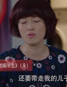 我的前半生第9、10集罗子君陈俊生争孩子抚养权  靳东新官上任成陈俊生上司