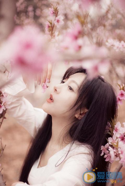 花儿写真