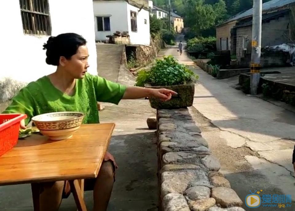 青恋剧照