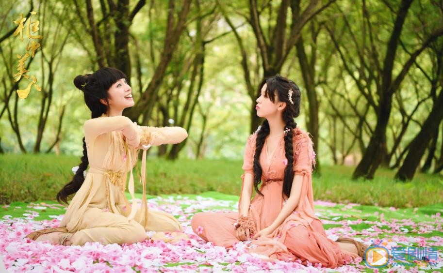 柜中美人剧情介绍(1-34集大结局)