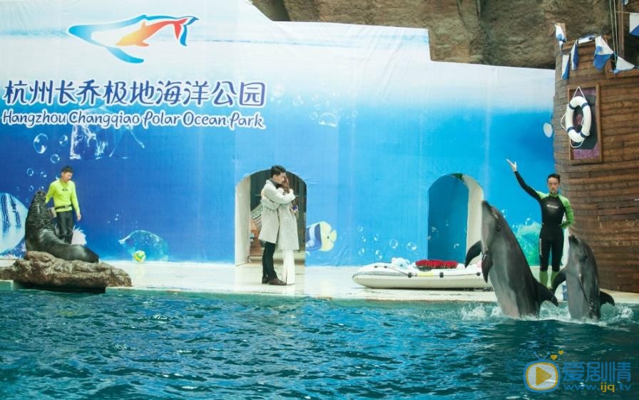如若巴黎不快乐剧情介绍(1-48集大结局)