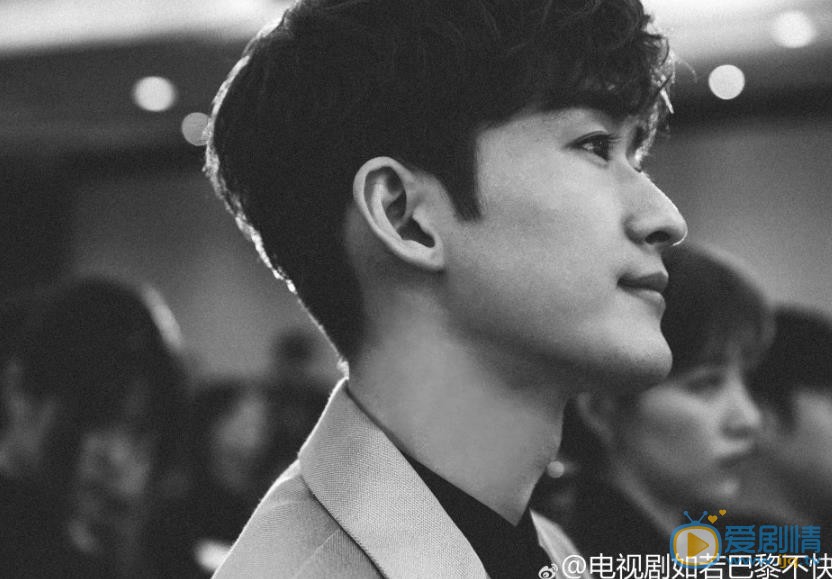 如若巴黎不快乐剧情介绍(1-48集大结局)