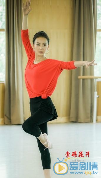 索玛花开剧情介绍(1-32集大结局)
