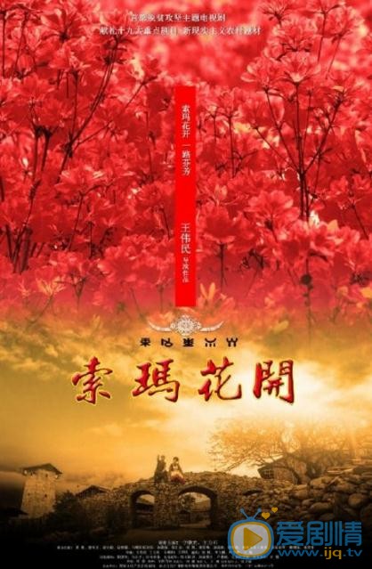 索玛花开海报