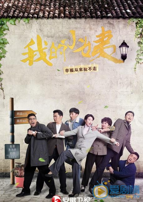 我的小姨海报