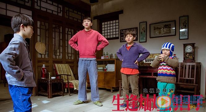 生逢灿烂的日子剧情介绍(1-47集大结局)