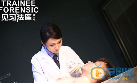 见习法医剧照