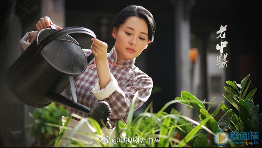 老中医剧情介绍(1-40集大结局)