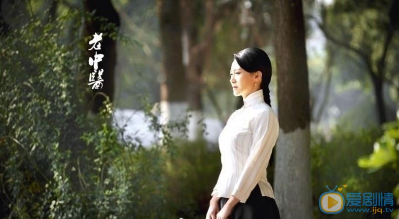 老中医剧情介绍(1-40集大结局)