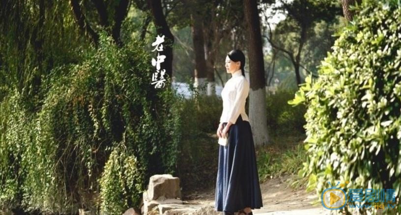 老中医剧情介绍(1-40集大结局)