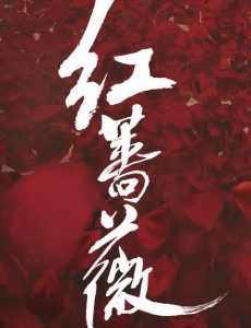 红蔷薇肖君浩喜欢夏雨竹吗？肖君浩和夏雨竹在一起了吗？