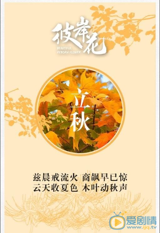 彼岸花海报