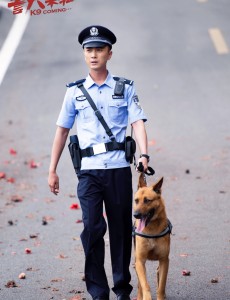 警犬来啦凤琴岛在什么地方？现实中有凤琴岛吗？凤琴岛指的什么地方？