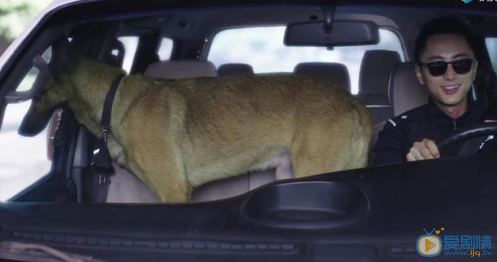 警犬来啦剧照