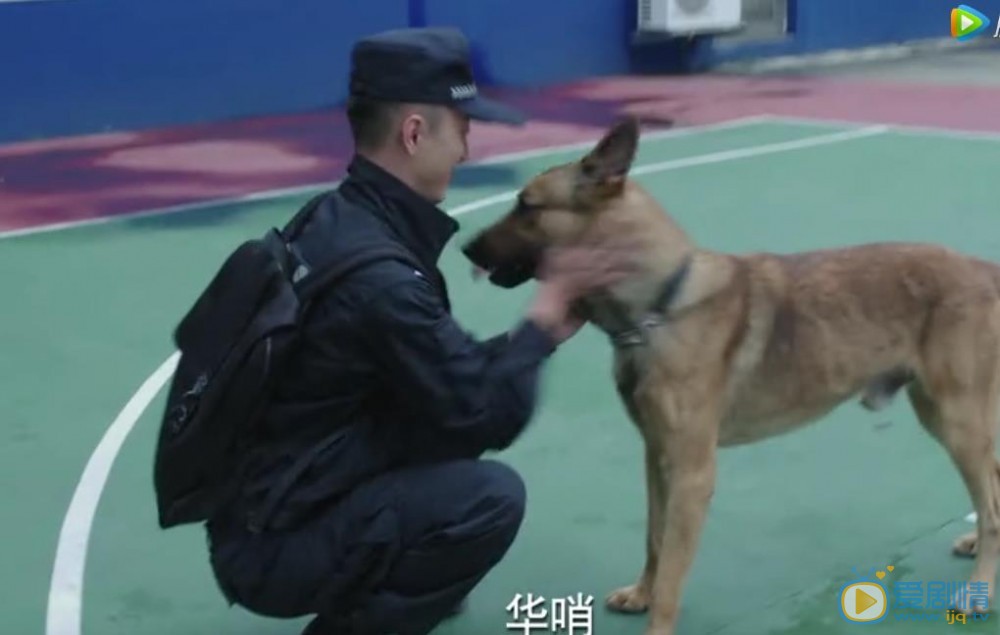 警犬来啦剧照