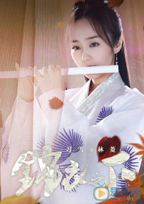 锦衣之下发海报