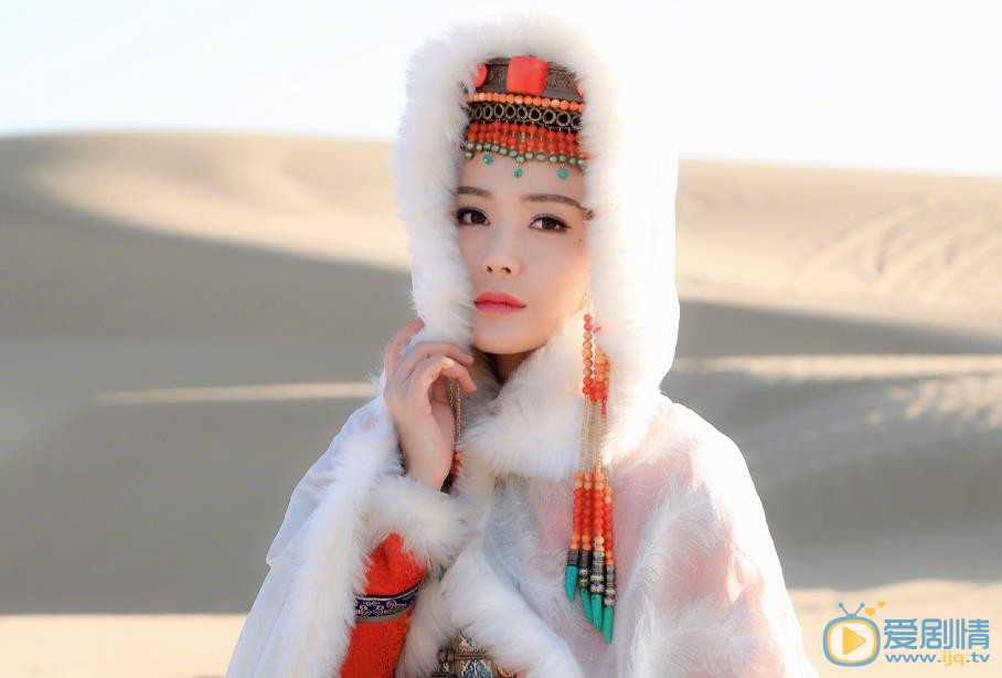 大夏宝藏剧照