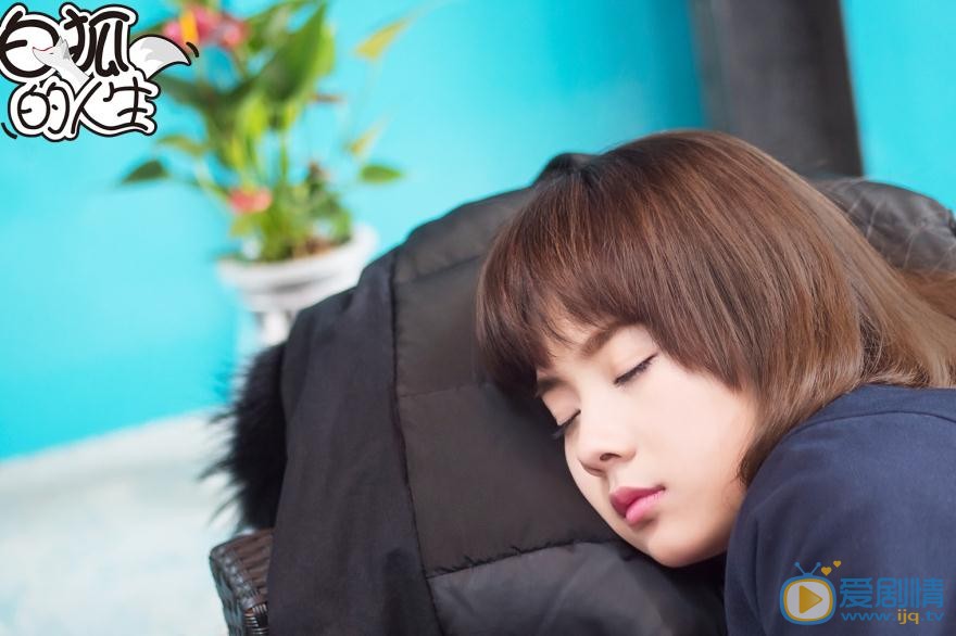 白狐的人生剧照