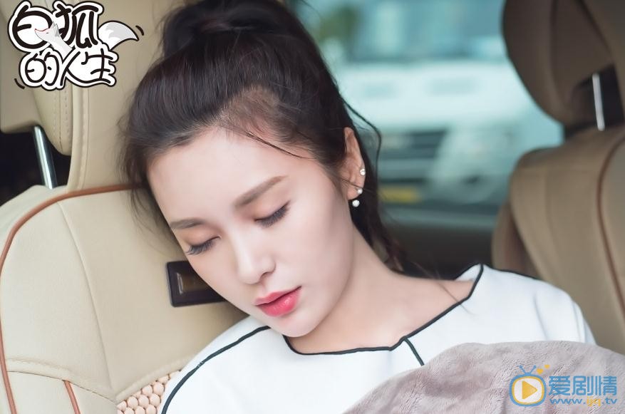 白狐的人生剧照