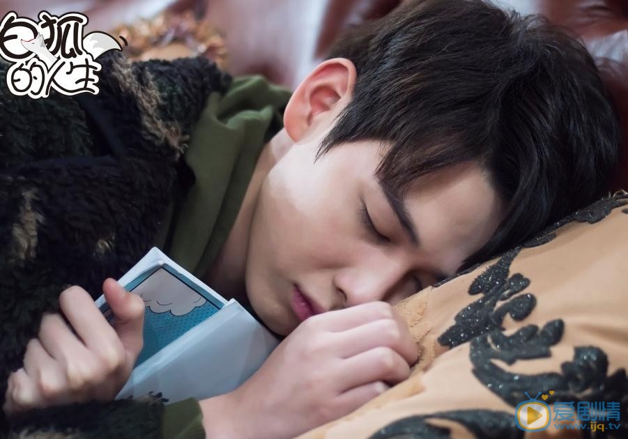 白狐的人生剧照