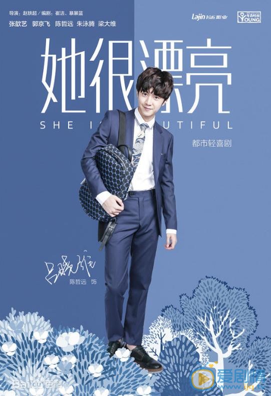 她很漂亮海报
