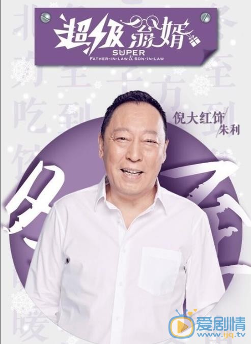 超级翁婿海报
