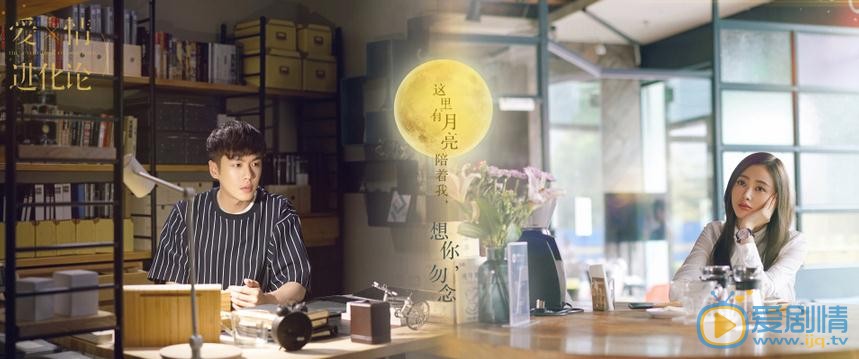 爱情进化论剧情介绍(1-40集大结局)