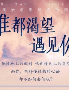 谁都渴望遇见你