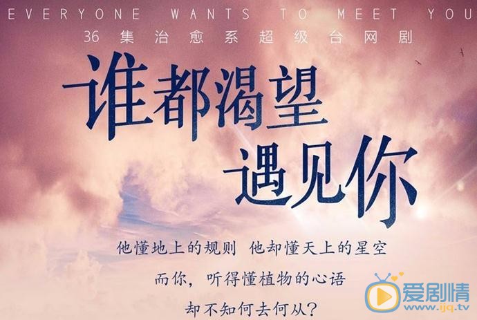 谁都渴望遇见你剧情介绍