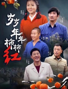 岁岁年年柿柿红