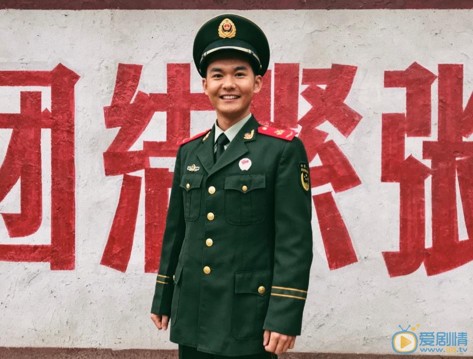 岁岁年年柿柿红剧情介绍